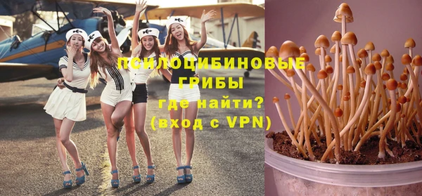 каннабис Дмитриев