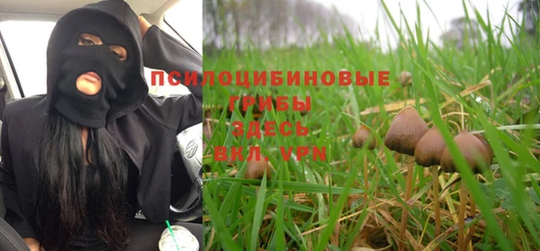 каннабис Дмитров