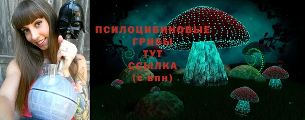 каннабис Дмитриев