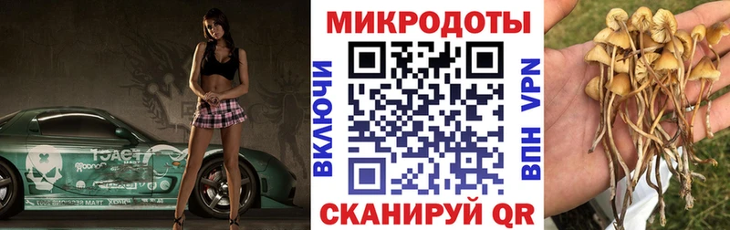 Купить  Миньяр  Псилоцибиновые грибы мицелий 