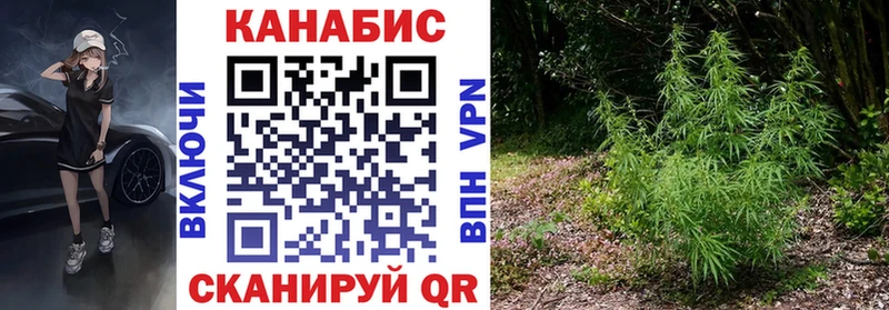 Купить закладки  Миньяр  Шишки марихуана семена 